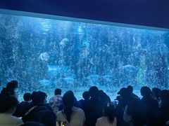 -台州海洋世界