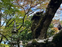 -常寂光寺