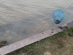 -滆湖低碳生态公园