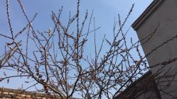 点击看大图 -情订奇缘婚纱摄影(和平路店)