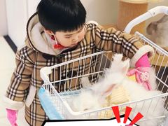 -怪兽屋·羊驼·猫咖·狗咖(俊华广场店)