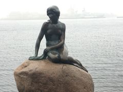-美人鱼