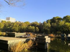 -长春市南湖公园