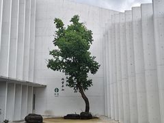 -中国宣纸文化园