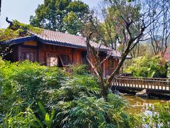 -南山植物园