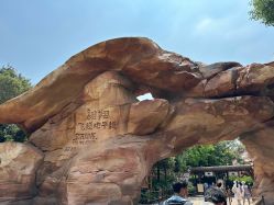 -翱翔飞越地平线