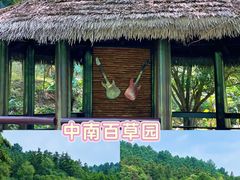 -阿露佳·舌尖上的安吉菜