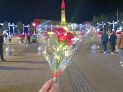 -人民防洪胜利纪念塔