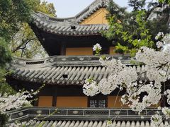 -龙华寺