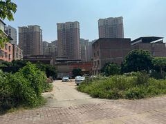 -上南瓦煲鸡·清远鸡·老字号(总店)