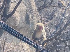 -崂山巨峰游览区