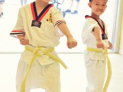 -勇气斑马·巴西柔术&跆拳道(浦东三林店)