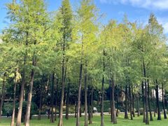 -晓港公园