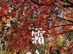 -东升八家郊野公园
