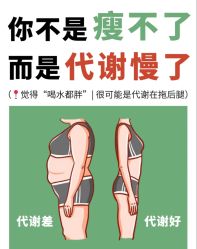 -Fundi张玉珊修身堂·indiba·BTL科技瘦身