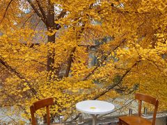 -腾爱熊猫咖啡生活馆(老东门店)