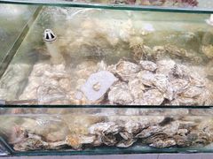 -同道蒸汽海鲜烧烤自助(刘庄夜市店)
