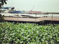 71242a4egw1ewpg3v5lygj20ez0qon20-太阳岛度假酒店