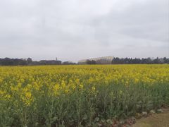 -中国天府农业博览园