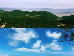 -武陵山森林公园