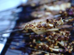 -宋文成烤肉(白沙巷店)