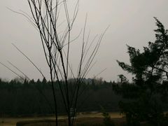 -秦始皇帝陵博物院-丽山园
