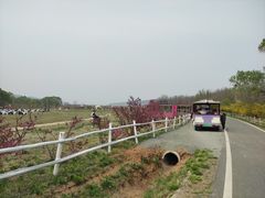 -大连铭湖国际观光牧场