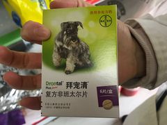 -邢大夫动物医院