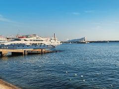 -青岛奥林匹克帆船中心