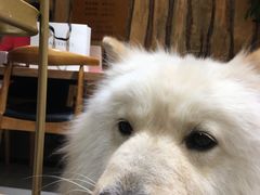 -肆兮眼镜·蔡司·徕卡战略合作店(大坪店)