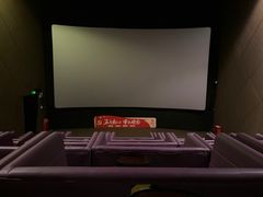 -CGV影城(金银潭激光IMAX店)