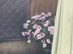 -吃货私房菜(丽江束河古镇店)