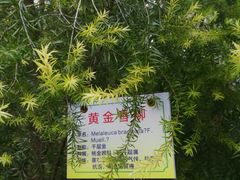 -晓港公园