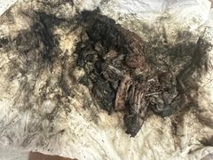 -御面斋精品面馆