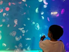 -华夏文旅西安度假区