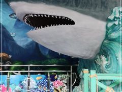 -多彩贵州城极地海洋世界