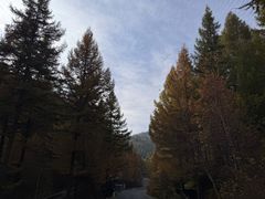-苏木山森林公园