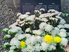 -侵华日军南京大屠杀遇难同胞纪念馆