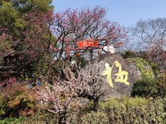 -无锡梅园公园