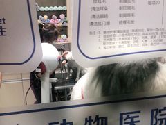 -宠颐生动物医院·小陆分院