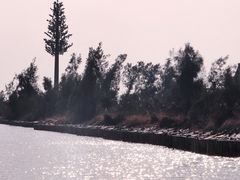 -漩门湾国家湿地公园