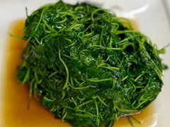 -协和菜馆(凤凰街店)