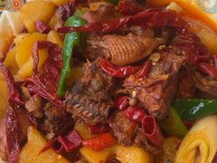 -巴依老爷新疆美食(常营店)