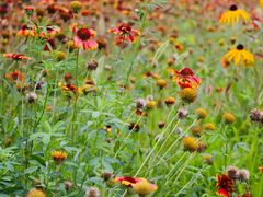 -永定河休闲森林公园