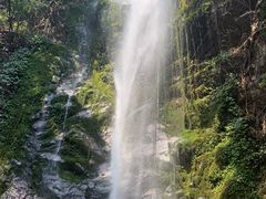 -莫里热带雨林景区