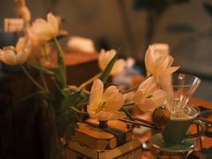 -春风十里咖啡馆