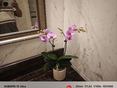 -鲤鱼洲酒店港鲤咖啡厅