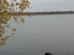 -东湖落雁景区