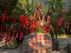 -沂蒙云瀑洞天景区