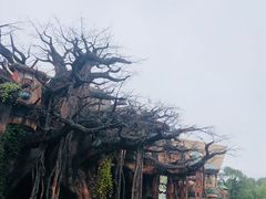 -杭州长乔极地海洋公园